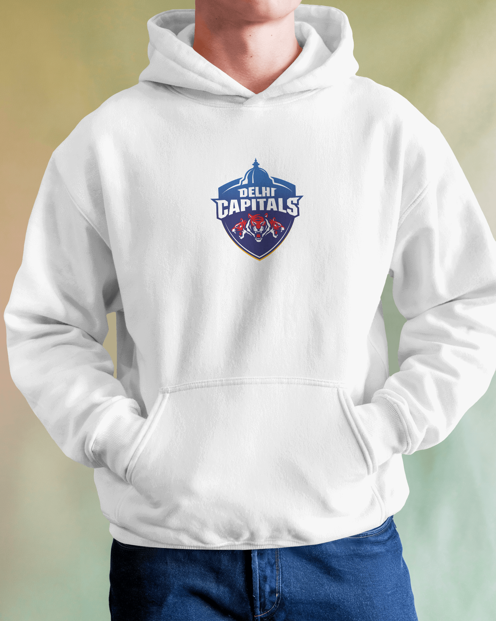 DC Hoodie