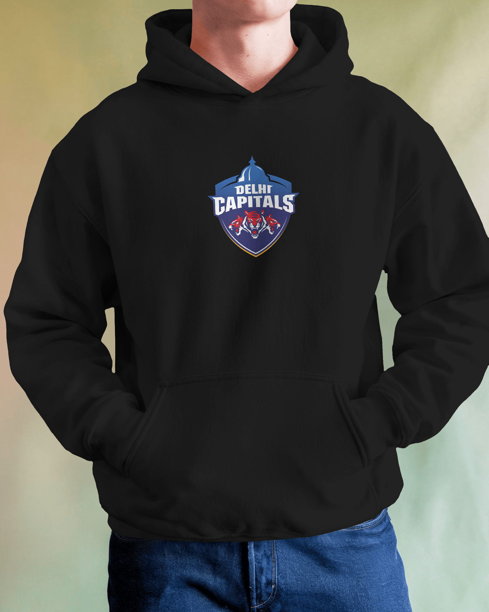 DC Hoodie